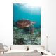 Green Sea Turtle Swimming Wall Decal Design 3