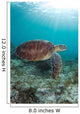 Green Sea Turtle Swimming Wall Decal Design 3