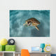 Green Sea Turtle Swims Wall Decal Design 2