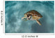 Green Sea Turtle Swims Wall Decal Design 2