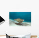 Green Sea Turtle Swims Wall Decal Design 1