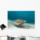 Green Sea Turtle Swims Wall Decal Design 1