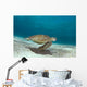 Green Sea Turtle Swims Wall Decal Design 1