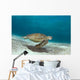 Green Sea Turtle Swims Wall Decal Design 1