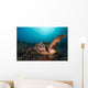 Green Sea Turtle Swimming Wall Decal Design 2