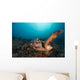 Green Sea Turtle Swimming Wall Decal Design 2