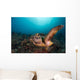 Green Sea Turtle Swimming Wall Decal Design 2