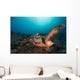 Green Sea Turtle Swimming Wall Decal Design 2