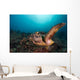Green Sea Turtle Swimming Wall Decal Design 2