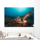 Green Sea Turtle Swimming Wall Decal Design 2