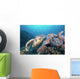 Hawksbill Turtle Looking for Wall Decal