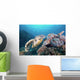 Hawksbill Turtle Looking for Wall Decal