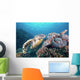 Hawksbill Turtle Looking for Wall Decal