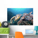 Hawksbill Turtle Looking for Wall Decal
