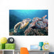 Hawksbill Turtle Looking for Wall Decal