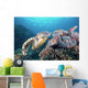 Hawksbill Turtle Looking for Wall Decal