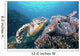 Hawksbill Turtle Looking for Wall Decal