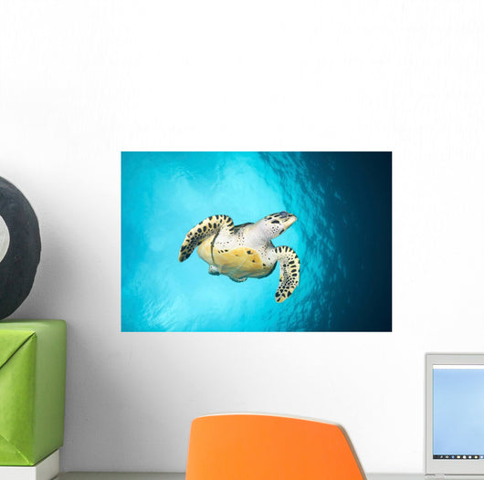 Hawksbill Turtle Descending from Wall Decal