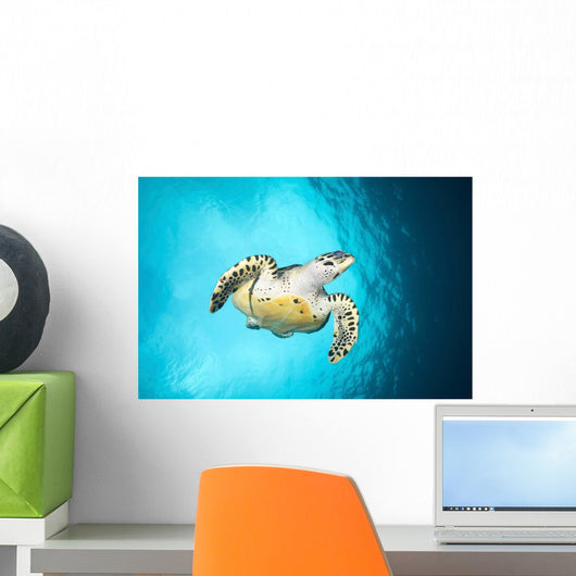 Hawksbill Turtle Descending from Wall Decal