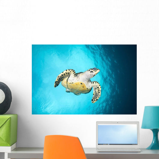 Hawksbill Turtle Descending from Wall Decal