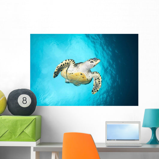 Hawksbill Turtle Descending from Wall Decal