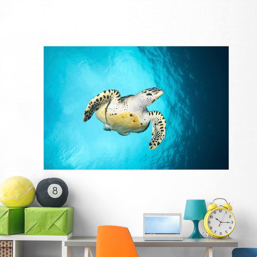 Hawksbill Turtle Descending from Wall Decal