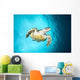 Hawksbill Turtle Descending from Wall Decal