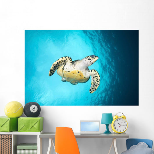 Hawksbill Turtle Descending from Wall Decal