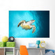 Hawksbill Turtle Descending from Wall Decal