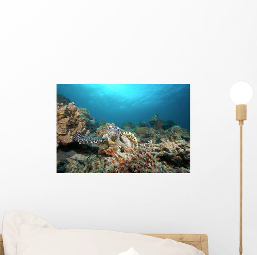 Hawksbill Turtle Coral Reef Wall Decal