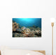 Hawksbill Turtle Coral Reef Wall Decal