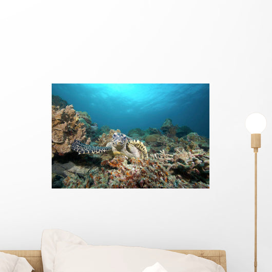 Hawksbill Turtle Coral Reef Wall Decal