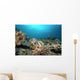 Hawksbill Turtle Coral Reef Wall Decal
