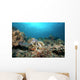Hawksbill Turtle Coral Reef Wall Decal