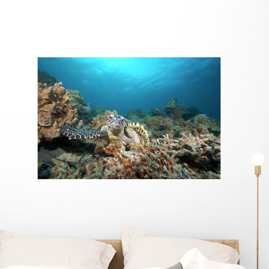 Hawksbill Turtle Coral Reef Wall Decal