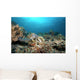 Hawksbill Turtle Coral Reef Wall Decal