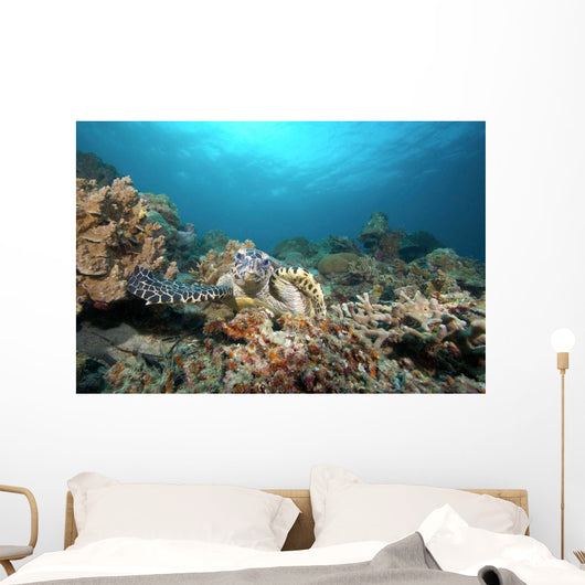 Hawksbill Turtle Coral Reef Wall Decal