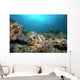 Hawksbill Turtle Coral Reef Wall Decal