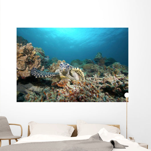 Hawksbill Turtle Coral Reef Wall Decal