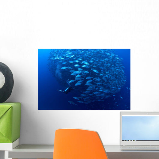 Diver Enters School Bigeye Wall Decal