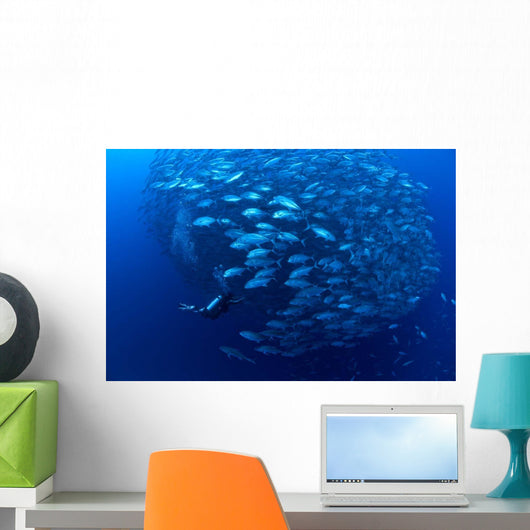 Diver Enters School Bigeye Wall Decal
