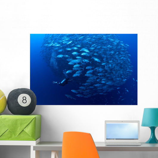 Diver Enters School Bigeye Wall Decal