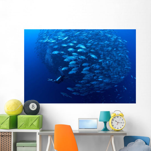 Diver Enters School Bigeye Wall Decal