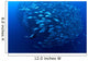 Diver Enters School Bigeye Wall Decal