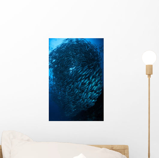 Bigeye Trevally Schooling Balicasag Wall Decal