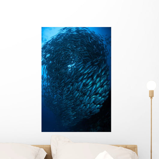 Bigeye Trevally Schooling Balicasag Wall Decal