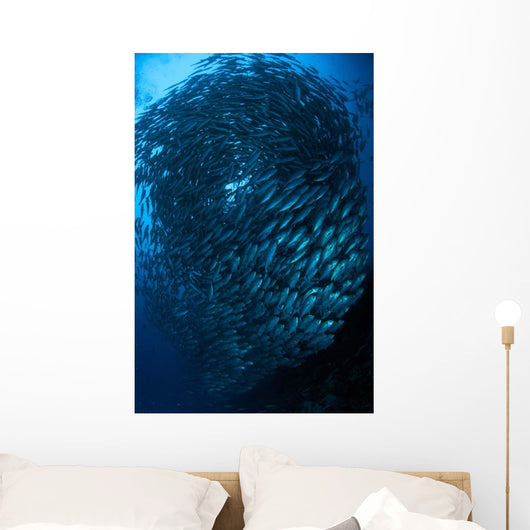 Bigeye Trevally Schooling Balicasag Wall Decal