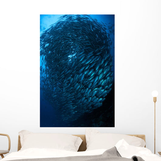 Bigeye Trevally Schooling Balicasag Wall Decal