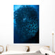 Bigeye Trevally Schooling Balicasag Wall Decal