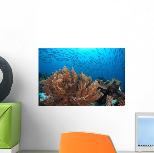 Coral Reef and School Wall Decal